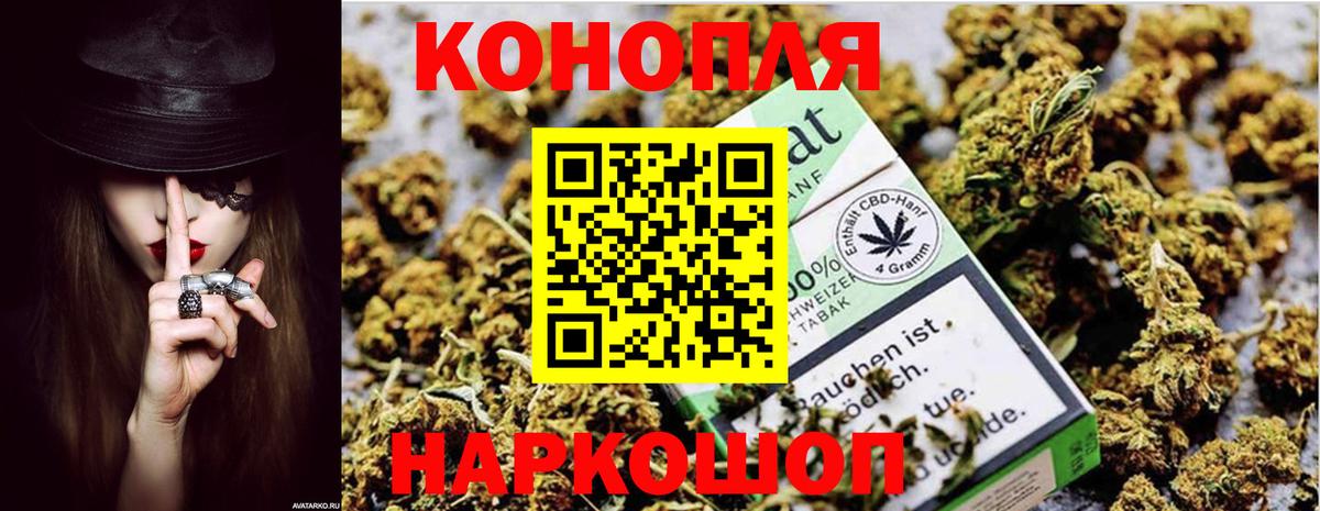 Каннабис Bruce Banner  Бошки Шишки план  Шишки марихуана Bruce Banner  Вход с VPN  Псков  Каннабис сатива 